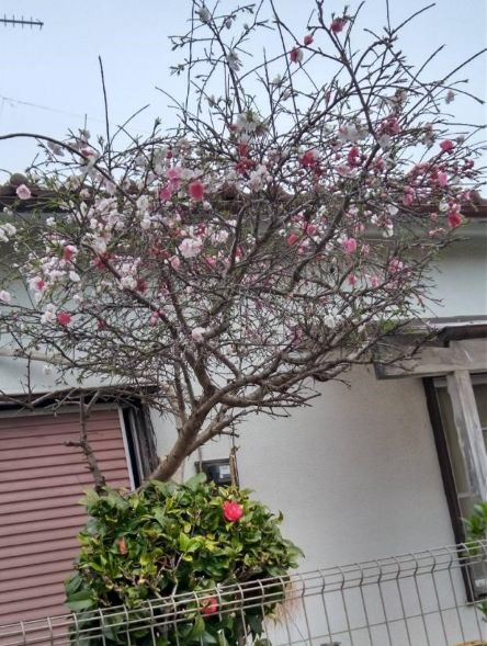 住宅地のなかにある霊園です