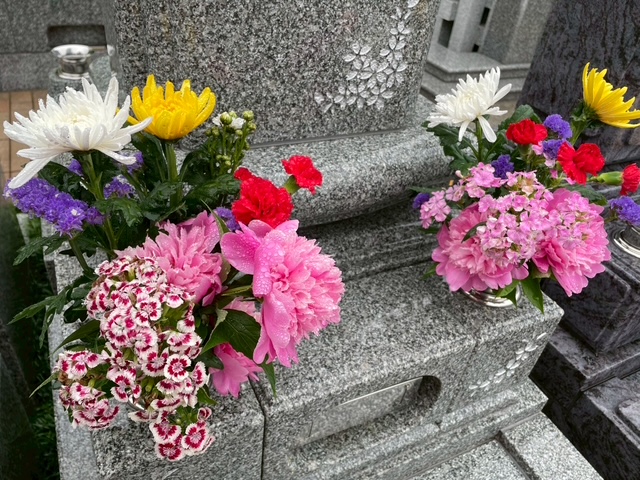 5月のお花