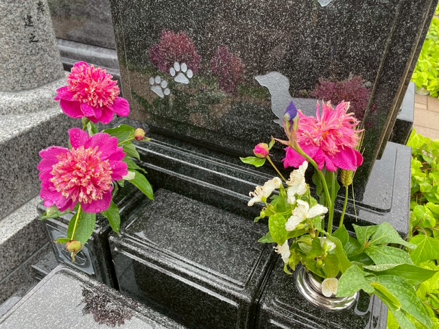 5月のお花