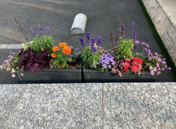 ワンハートの植栽が新しくなりました