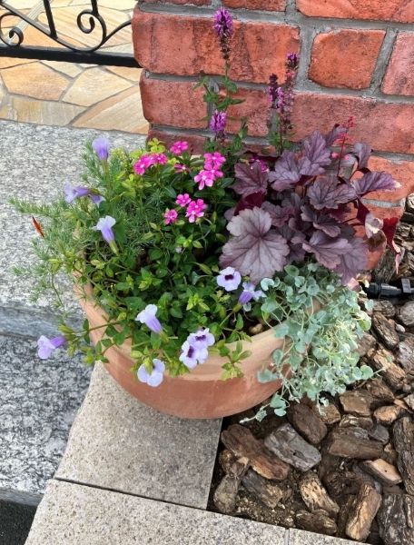 ワンハートの植栽が新しくなりました