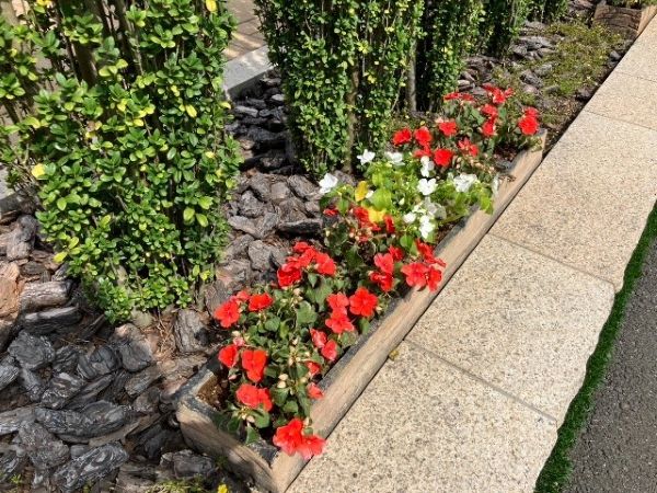 夏のお花に植え替えしました