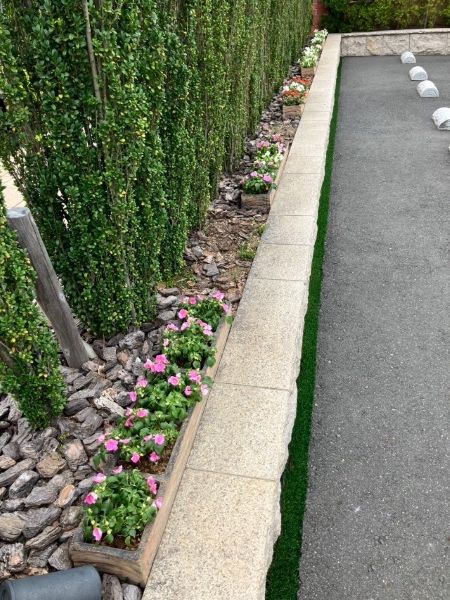 夏のお花に植え替えしました
