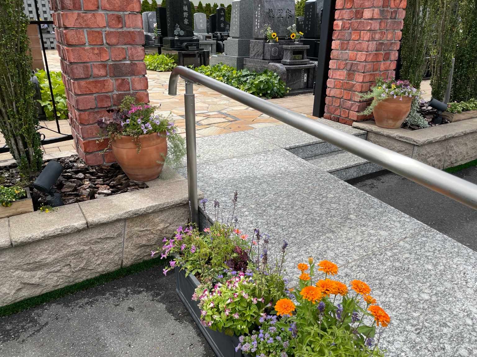 夏のお花