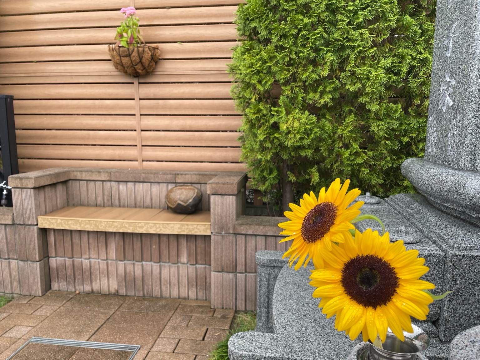 夏のお花