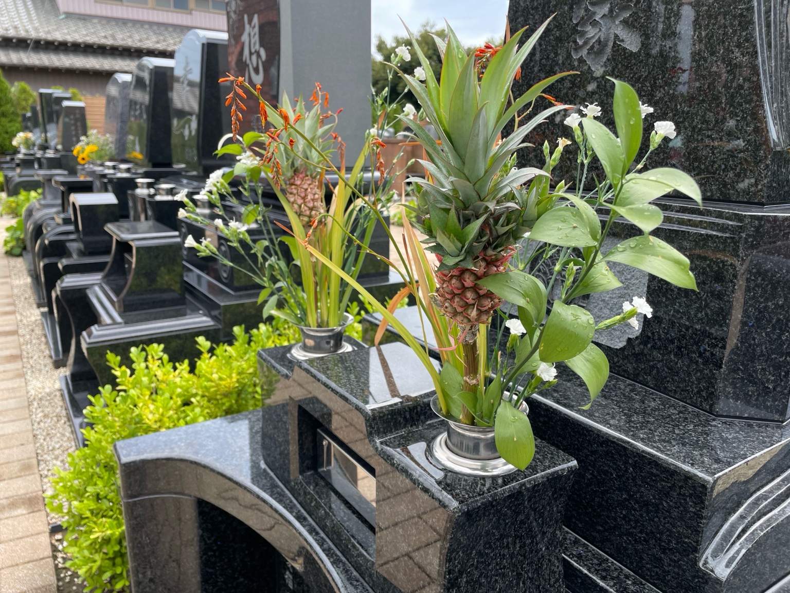 夏のお花