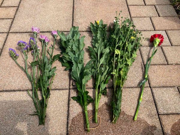 【夏の供花を長持ちさせるための工夫】