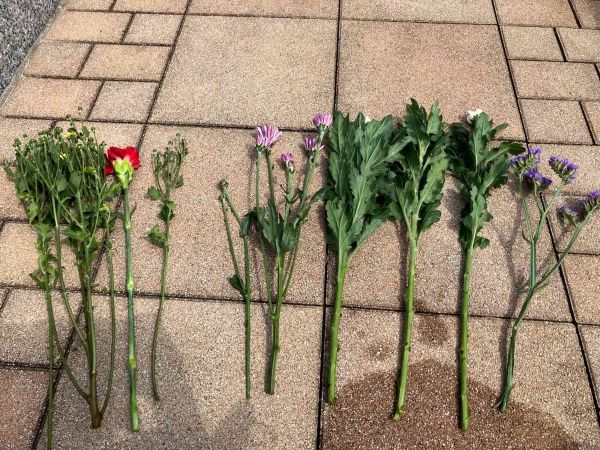 【夏の供花を長持ちさせるための工夫】