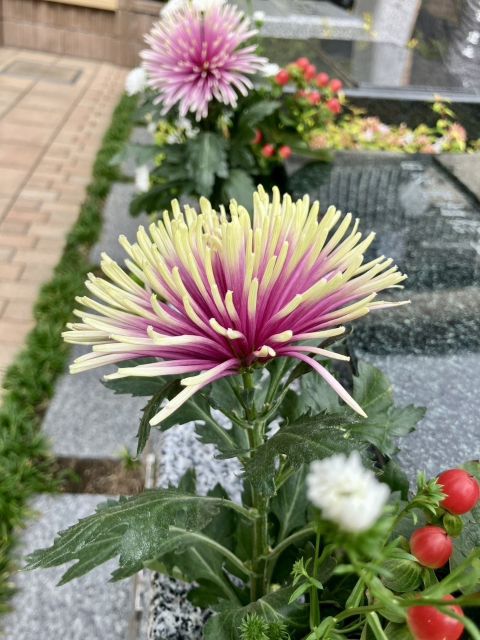 やすらぐ秋の園内より