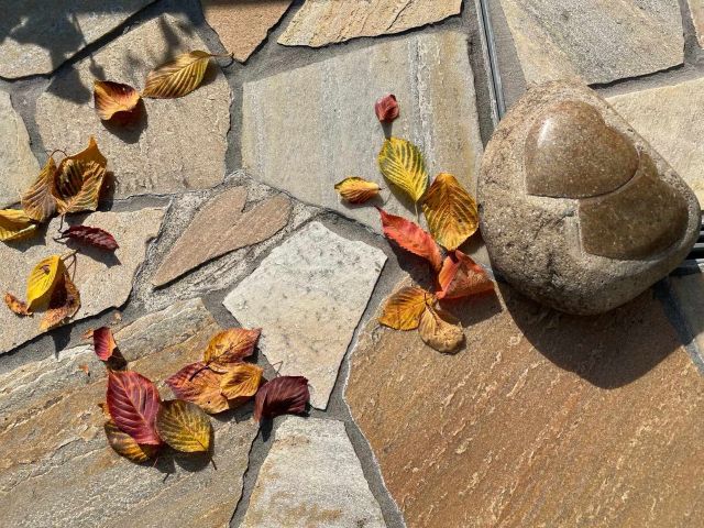 秋の深まりを感じる季節