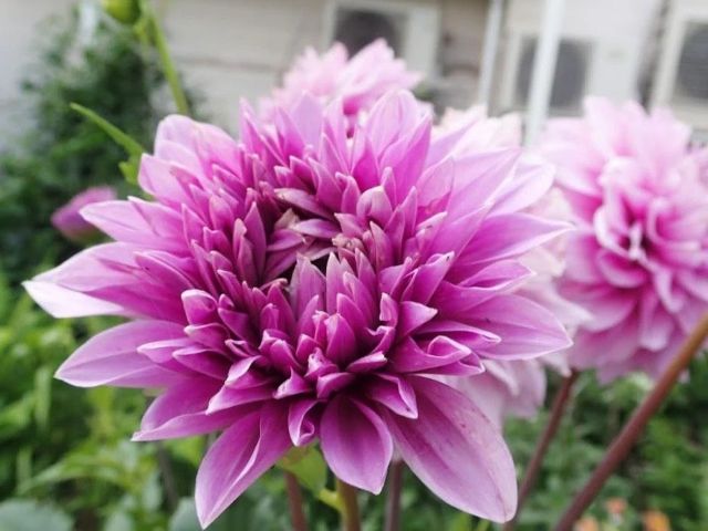 秋の深まりを感じる季節