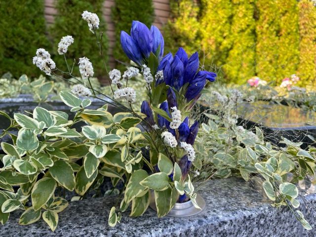 秋の深まりを感じる季節