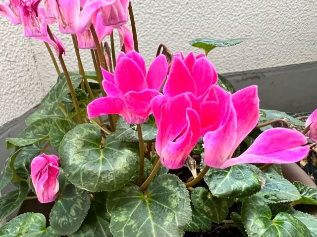 秋の深まりを感じる季節