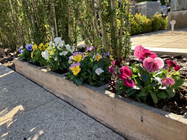 花壇が冬仕様に模様替え