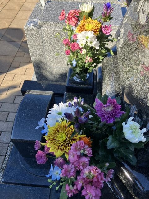 花壇が冬仕様に模様替え