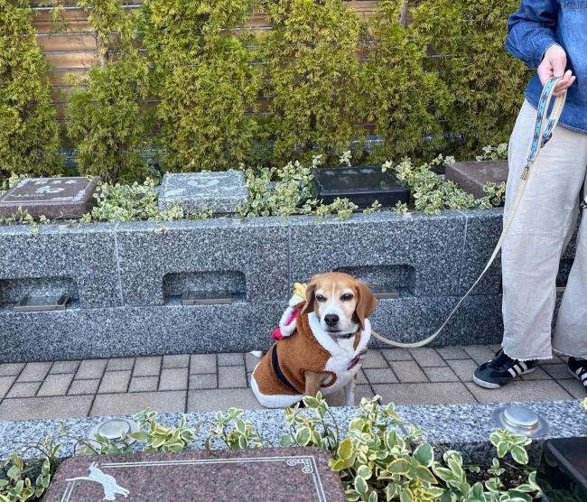 2025年も残りわずか⏳