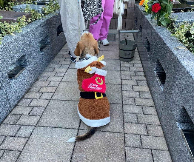 2025年も残りわずか⏳