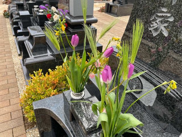 春の気配が少しずつ